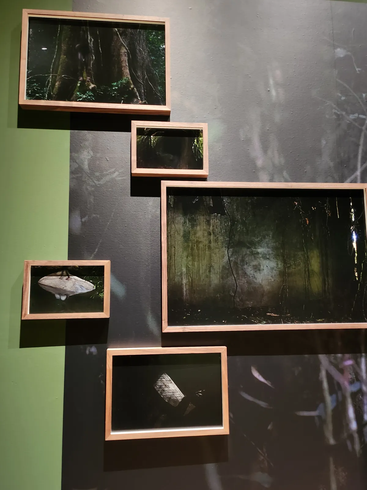 African Photography Gallery Image 38
